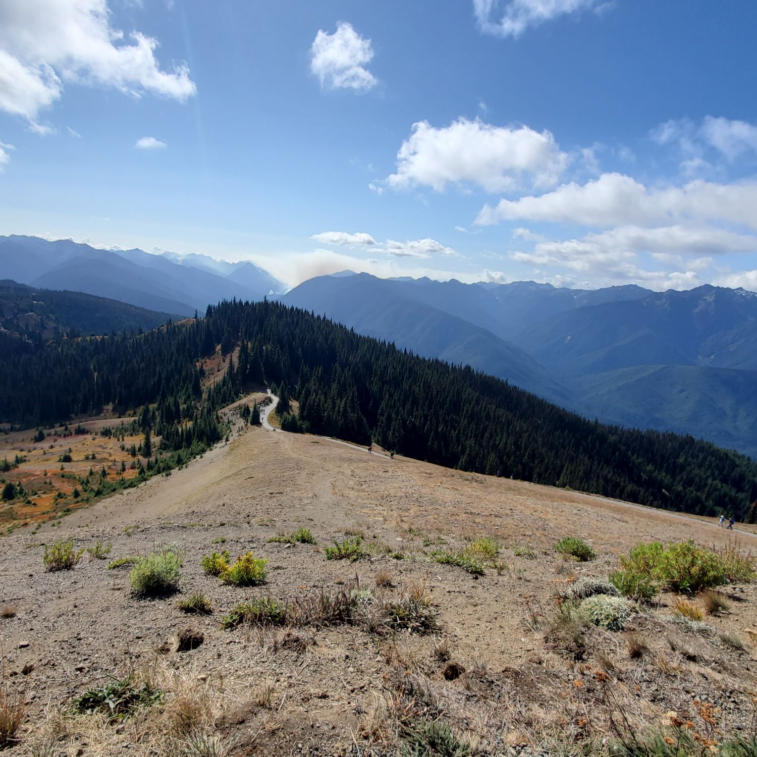 Olympic NP 